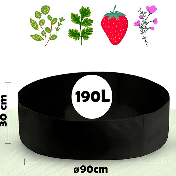 Plantie