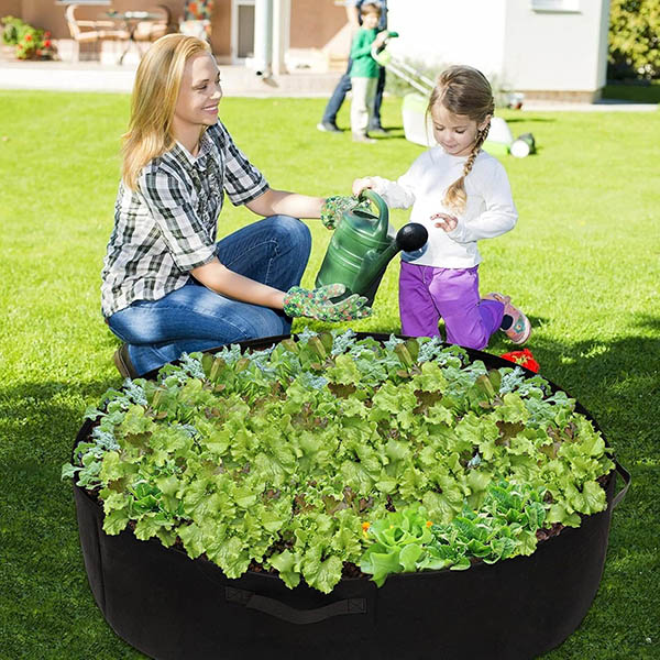Plantie