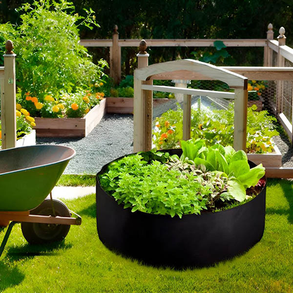 Plantie