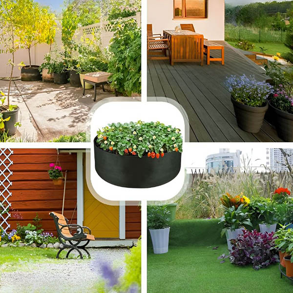 Plantie
