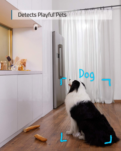 Smart home camera