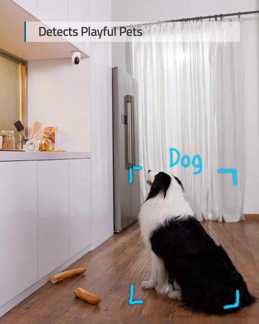 Smart home camera