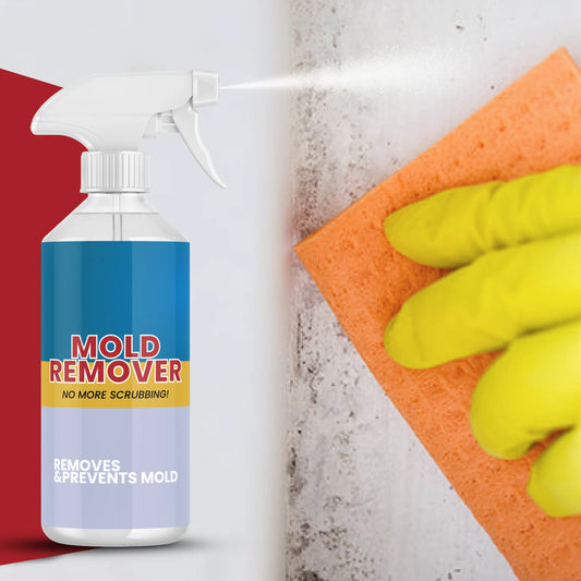 Mold Remover – Sprej za Uklanjanje Vlage i Plijesni s Ugodnim Mirisom